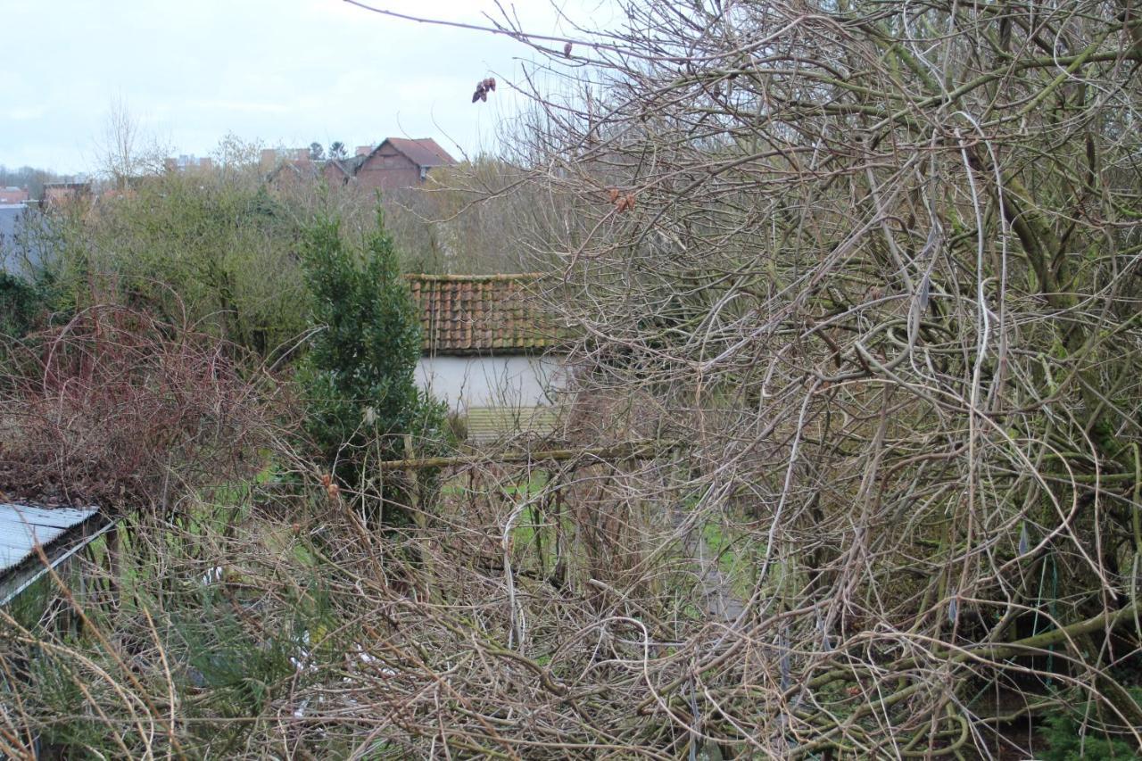 Maison D'Artiste Acces Jardin Maubeuge Buitenkant foto